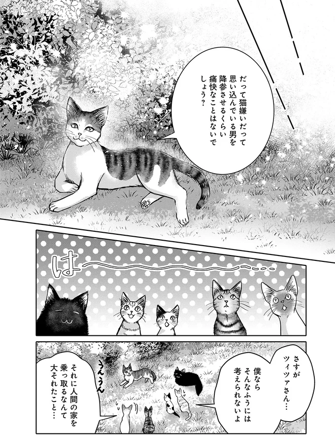 「いいわ、お相手するわよ」子猫が仕掛けた「乗っ取り作戦」。家には猫嫌いの男性が...／猫語の教科書 13657244.webp