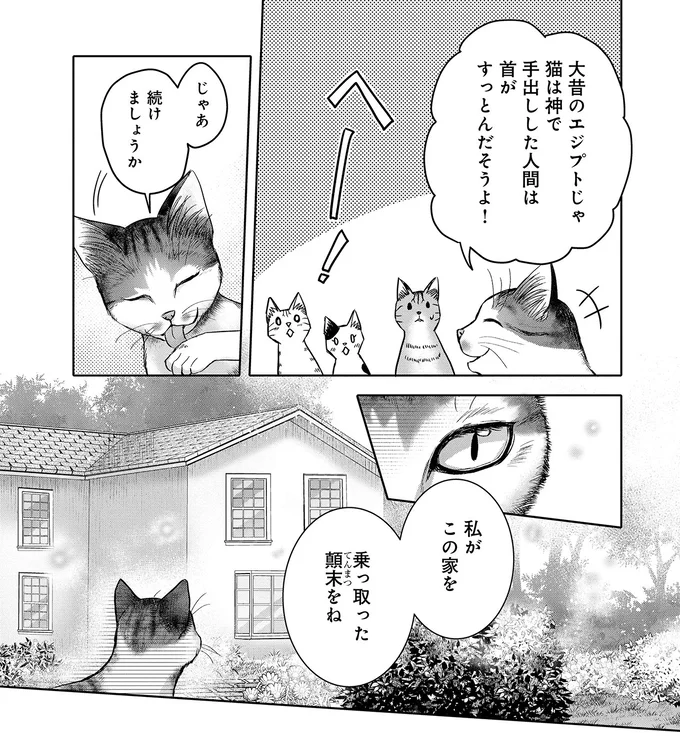 「いいわ、お相手するわよ」子猫が仕掛けた「乗っ取り作戦」。家には猫嫌いの男性が...／猫語の教科書 13657246.webp