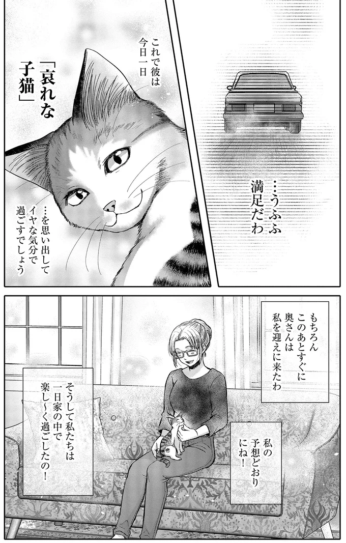 子猫の「鉄でできた心さえ溶かす一声」。猫嫌いの男性は思わず...／猫語の教科書 13657256.webp