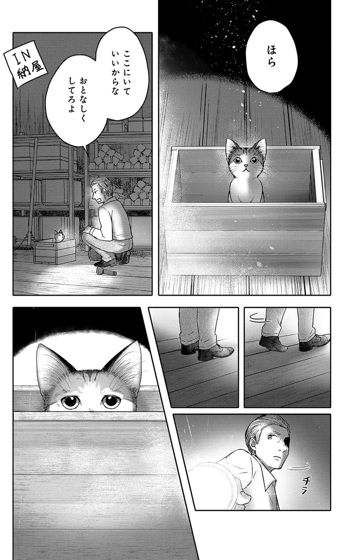 『猫語の教科書』 13657281.webp