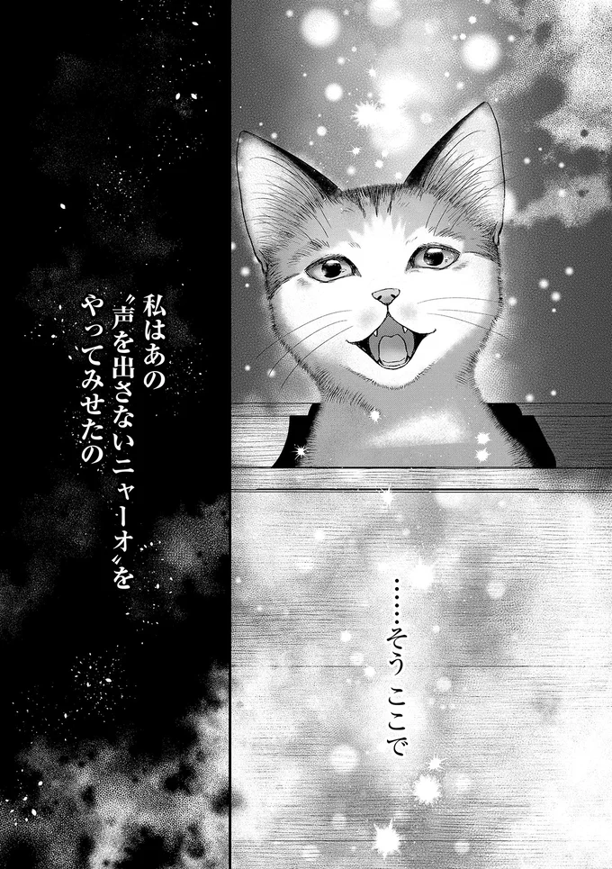 『猫語の教科書』 13657282.webp