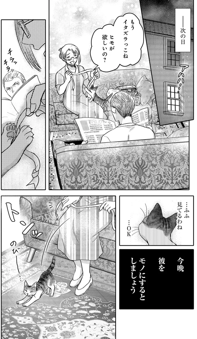 『猫語の教科書』 13657285.webp