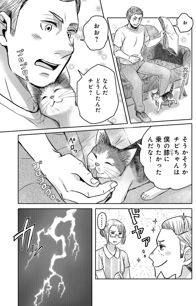 『猫語の教科書』 13657286.webp