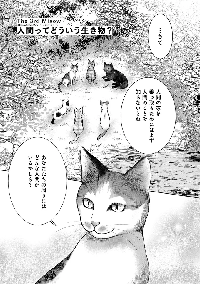 猫にとって「人間の男性の操縦」は簡単...。集会で語られた「攻略法」は／猫語の教科書 13657338.webp