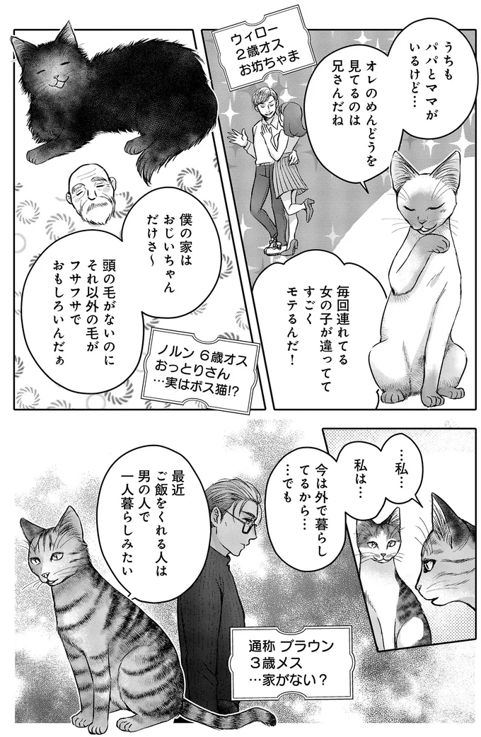 猫にとって「人間の男性の操縦」は簡単...。集会で語られた「攻略法」は／猫語の教科書 13657340.webp