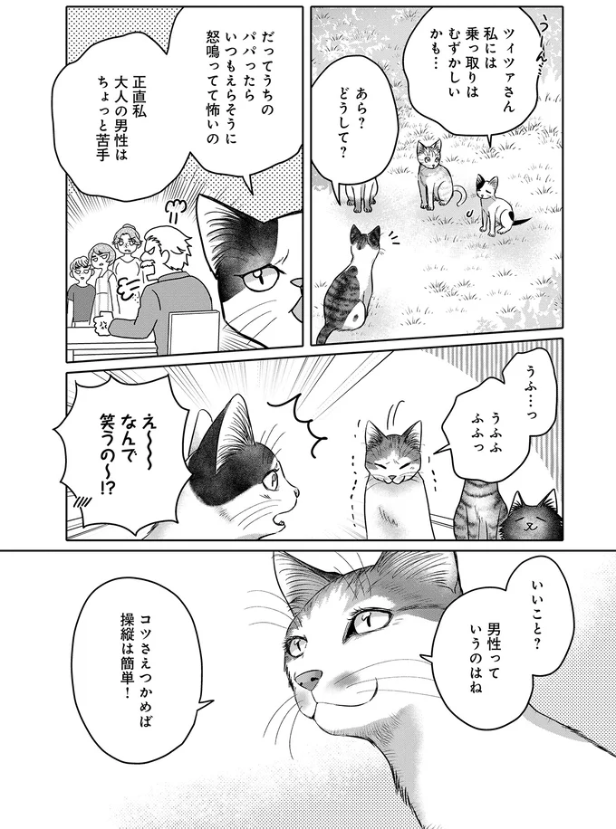 猫にとって「人間の男性の操縦」は簡単...。集会で語られた「攻略法」は／猫語の教科書 13657341.webp