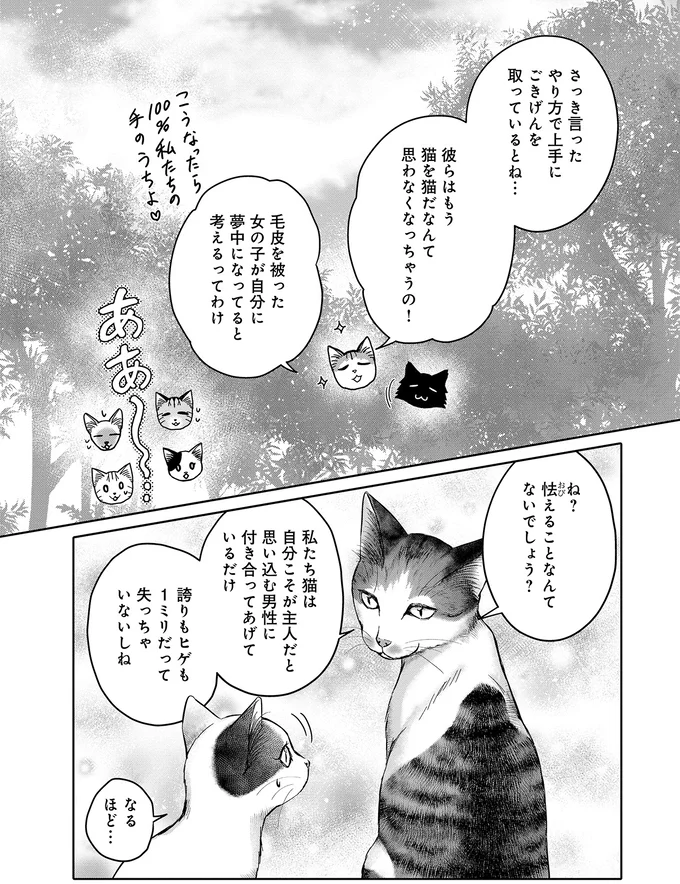 猫にとって「人間の男性の操縦」は簡単...。集会で語られた「攻略法」は／猫語の教科書 13657349.webp