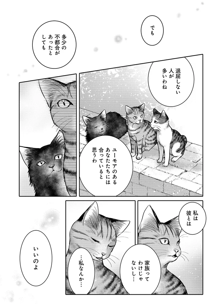 猫に自分のものを取られて喜ぶ!? 先輩猫が教える「それが人間というもの」／猫語の教科書 13657432.webp