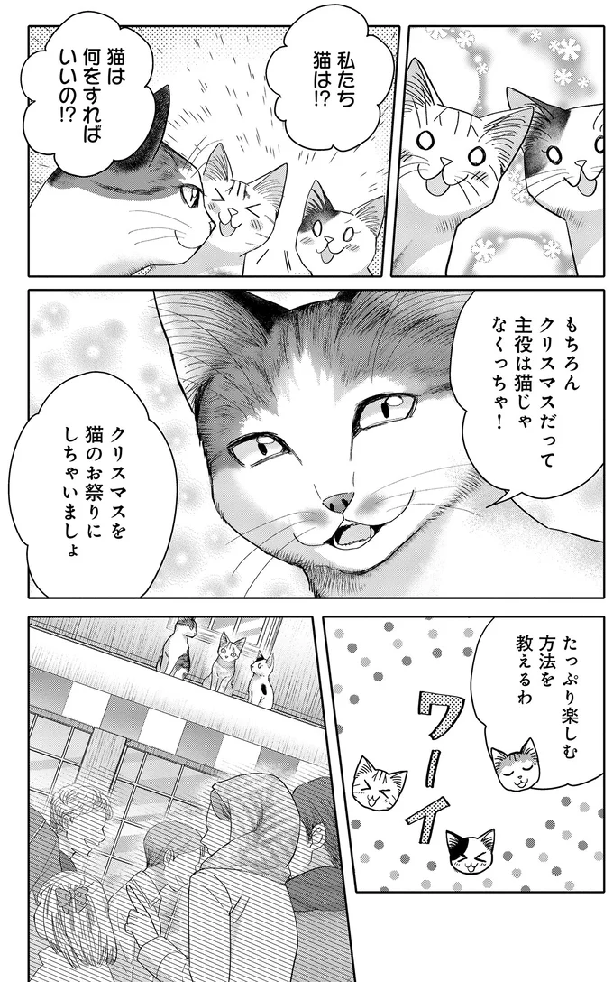 「特別な日」を忘れている飼い主のお姉さん。猫が起こしたアクションは...／猫語の教科書 13657458.webp