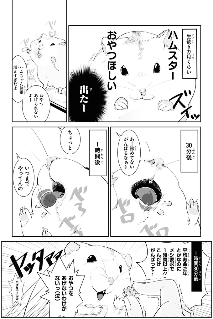 『はむはむづくし1～2』 13708075.webp