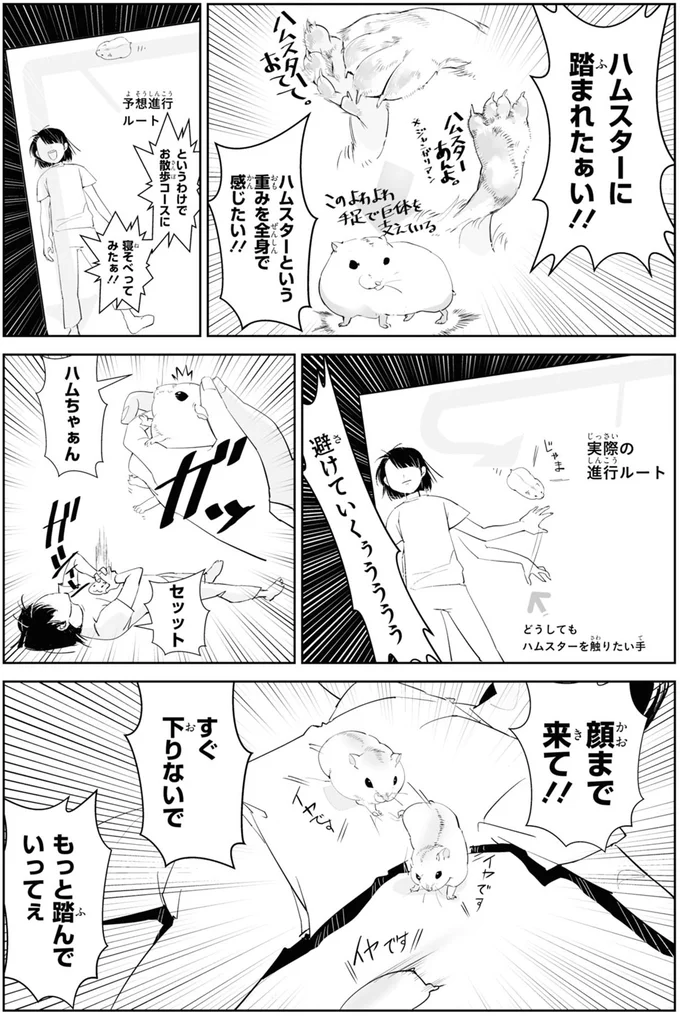 わ、目が落っこちそう。ハムちゃんの喜怒哀楽を分析してみた／はむはむづくし1 13708165.webp