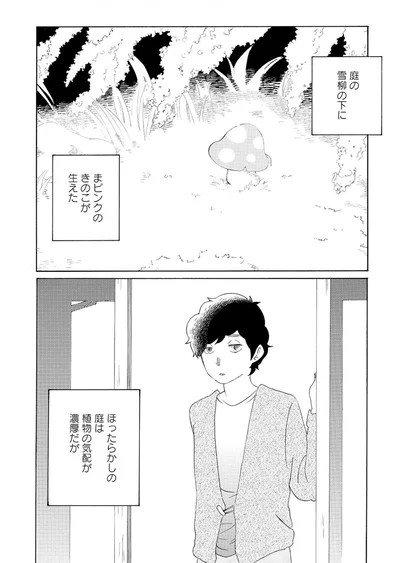 『きのこいぬ』 13749068.webp