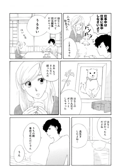『きのこいぬ』 13749071.webp