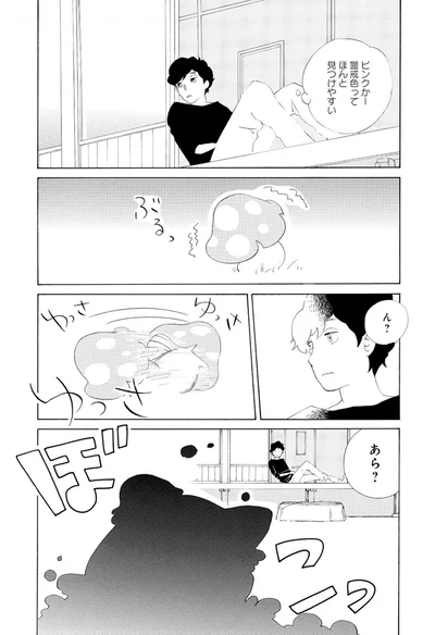 『きのこいぬ』 13749074.webp