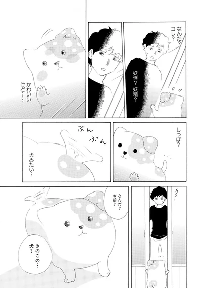 『きのこいぬ』 13749076.webp