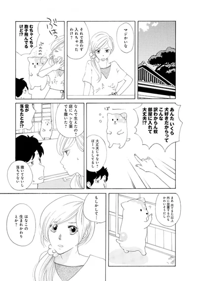 『きのこいぬ』 13758073.webp