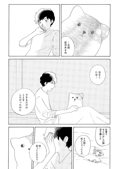 『きのこいぬ』 13758078.webp