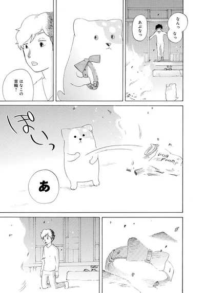 『きのこいぬ』 13758081.webp