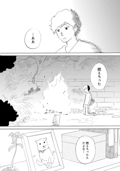 『きのこいぬ』 13758082.webp