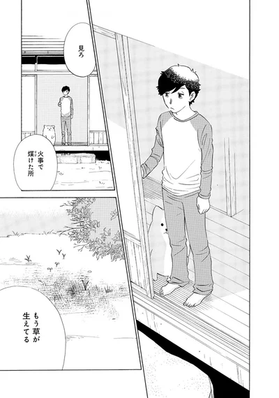 『きのこいぬ』 13765829.webp
