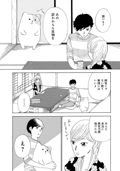 『きのこいぬ』 13765832.webp