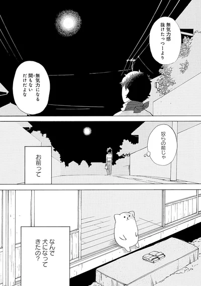 『きのこいぬ』 13765837.webp