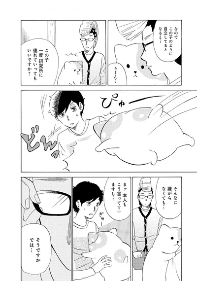 『きのこいぬ』 13765844.webp