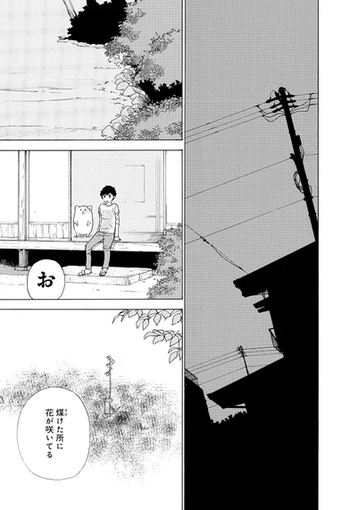 『きのこいぬ』 13765849.webp