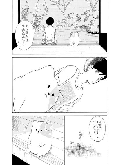 『きのこいぬ』 13765850.webp