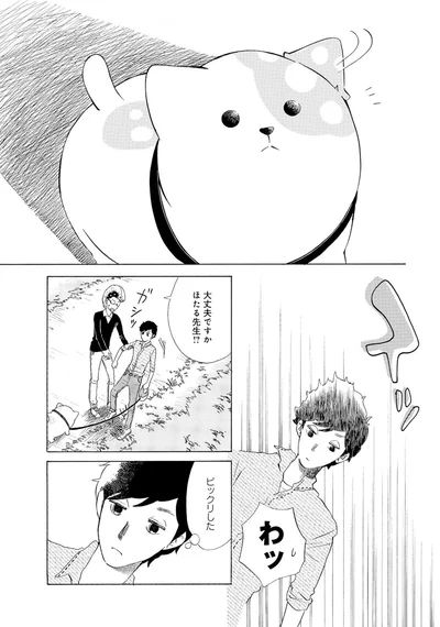 『きのこいぬ』 13765868.webp