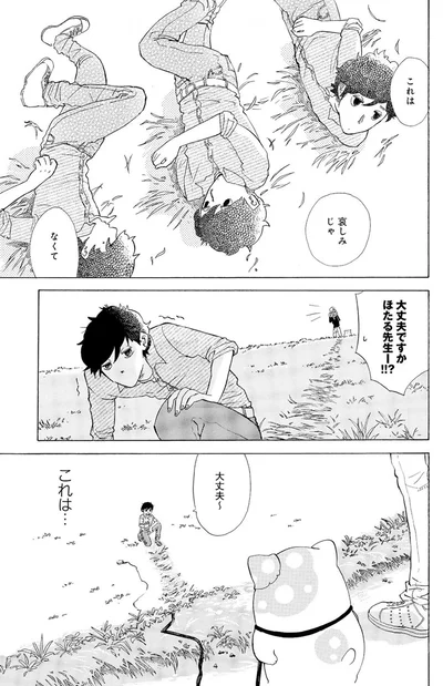 『きのこいぬ』 13765872.webp
