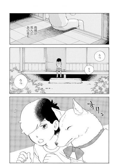 『きのこいぬ』 13765876.webp