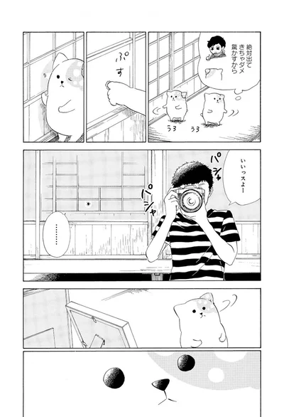 『きのこいぬ』 13765880.webp