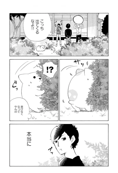 『きのこいぬ』 13765882.webp