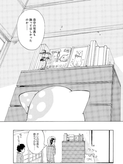 『きのこいぬ』 13765887.webp