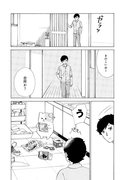 『きのこいぬ』 13765895.webp