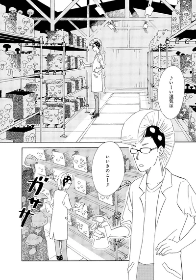 『きのこいぬ』 13776545.webp