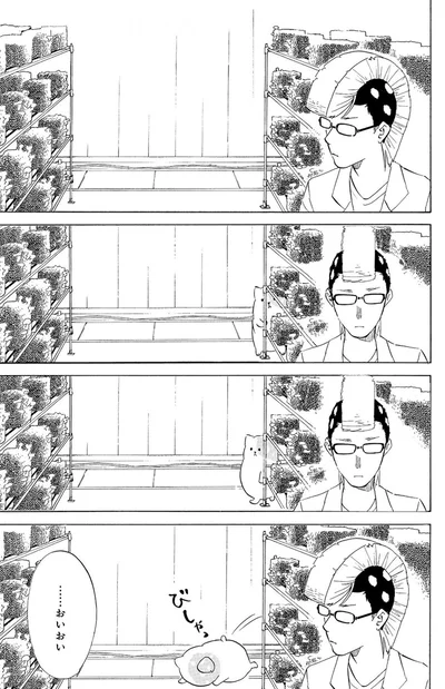 『きのこいぬ』 13776546.webp
