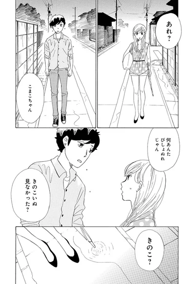 『きのこいぬ』 13776550.webp