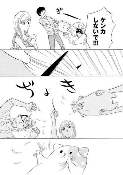 『きのこいぬ』 13776556.webp