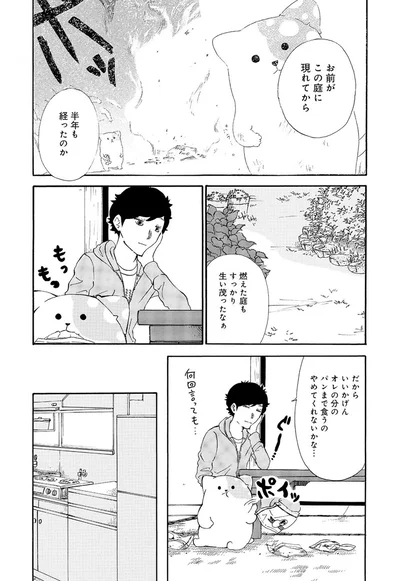 『きのこいぬ』 13776573.webp