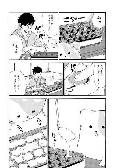 『きのこいぬ』 13776576.webp