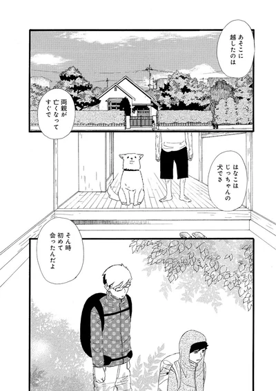 『きのこいぬ』 13776664.webp