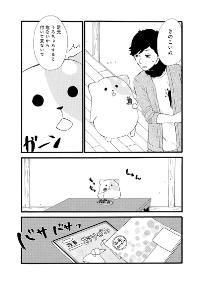 『きのこいぬ』 13776680.webp