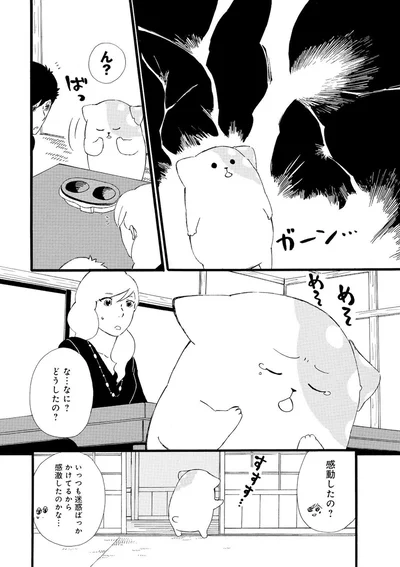 『きのこいぬ』 13776689.webp