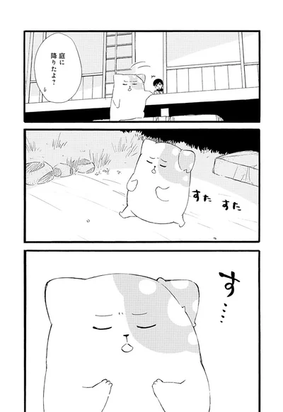 『きのこいぬ』 13776690.webp