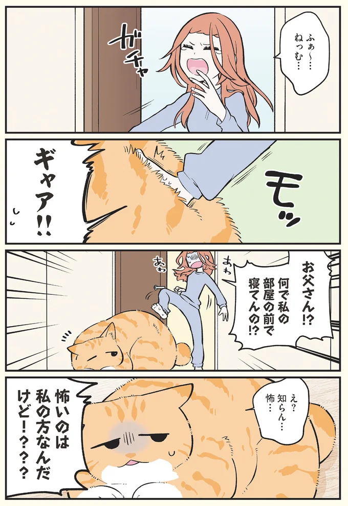 なぜ？ 猫になった父が娘の部屋の前で熟睡／ブラック企業の社員が猫になって人生が変わった話 13791582.webp