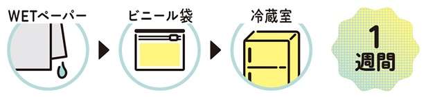 栄養満点の「ほうれん草」。農家が伝授する美容と健康にいい食べ方 13795994_615.jpg