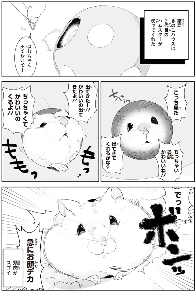 『はむはむづくし1～2』 13798838.webp