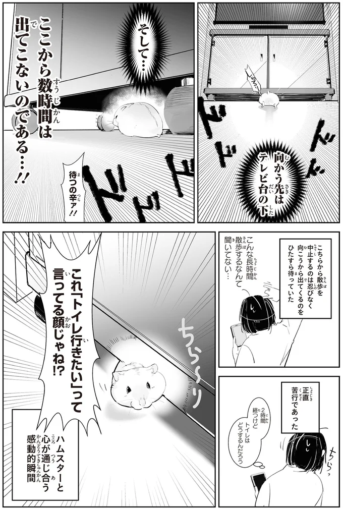 『はむはむづくし1～2』 13798979.webp